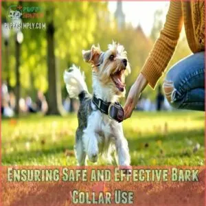 Ensuring Safe and Effective Bark Collar Use