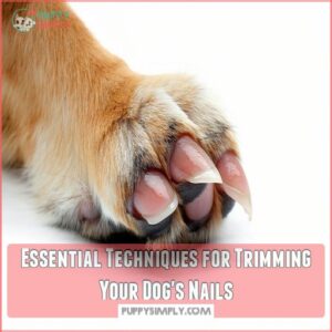 Essential Techniques for Trimming Your Dog