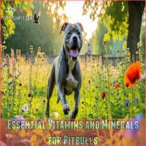 Essential Vitamins and Minerals for Pitbulls