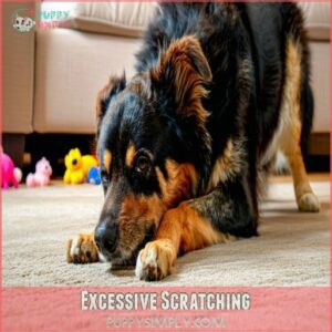 Excessive Scratching