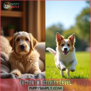 Factor in Activity Level