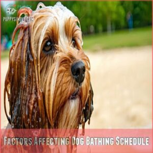 Factors Affecting Dog Bathing Schedule