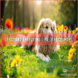 Factors Affecting Life Expectancy