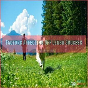 Factors Affecting Off Leash Success