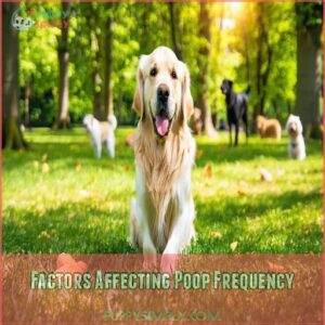 Factors Affecting Poop Frequency