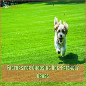 Factors for Choosing Dog-Friendly Grass