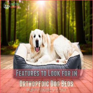 Features to Look for in Orthopedic Dog Beds