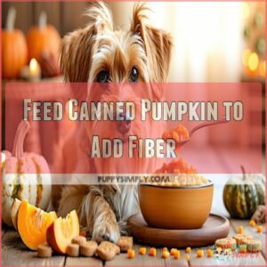 Feed Canned Pumpkin to Add Fiber