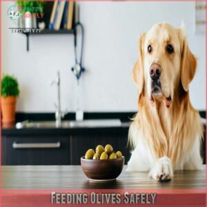 Feeding Olives Safely