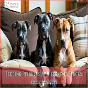 Feeding Pitbulls at Different Stages