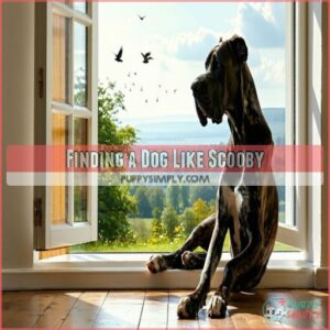 Finding a Dog Like Scooby