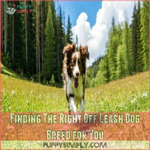 Finding The Right Off Leash Dog Breed for You