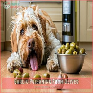 Garlic Poisoning From Olives