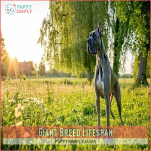 Giant Breed Lifespan