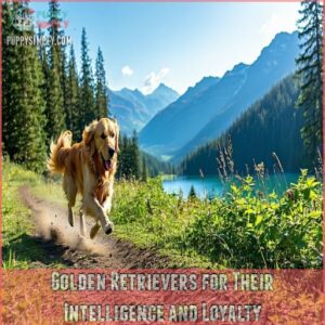 Golden Retrievers for Their Intelligence and Loyalty