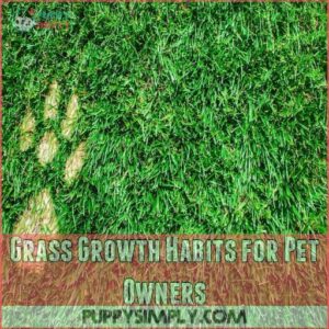 Grass Growth Habits for Pet Owners