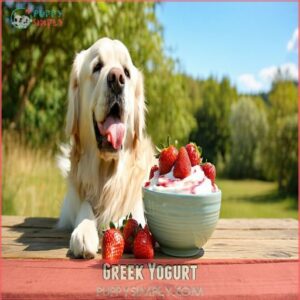 Greek Yogurt