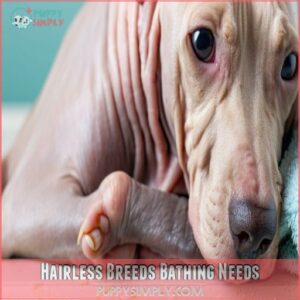 Hairless Breeds Bathing Needs