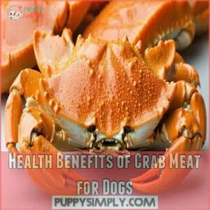 Health Benefits of Crab Meat for Dogs