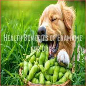 Health Benefits of Edamame for Dogs