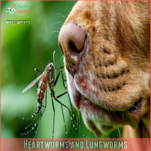 Heartworms and Lungworms