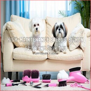 High-Maintenance Breeds: Bichon Frise and Shih Tzu