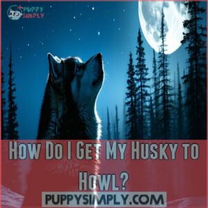 How Do I Get My Husky to Howl