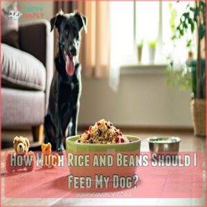 How Much Rice and Beans Should I Feed My Dog