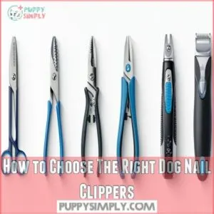 How to Choose The Right Dog Nail Clippers