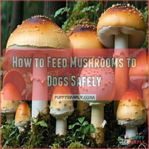 How to Feed Mushrooms to Dogs Safely