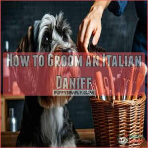 How to Groom an Italian Daniff