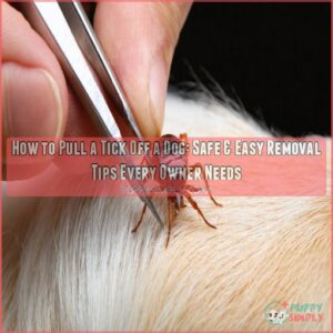 how to pull a tick off a dog