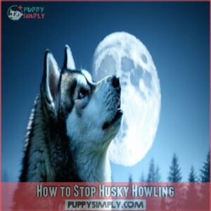 How to Stop Husky Howling