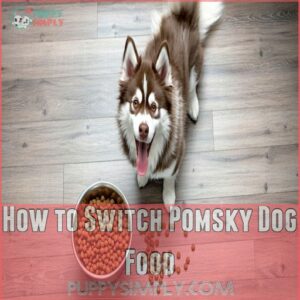 How to Switch Pomsky Dog Food