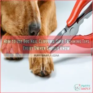 how to use dog nail clippers