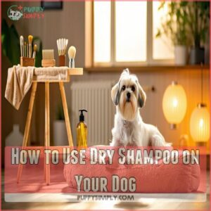 How to Use Dry Shampoo on Your Dog