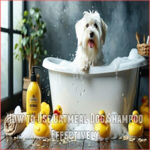 How to Use Oatmeal Dog Shampoo Effectively