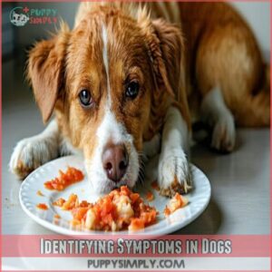 Identifying Symptoms in Dogs