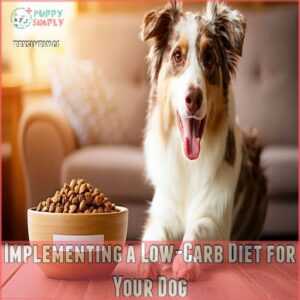 Implementing a Low-Carb Diet for Your Dog