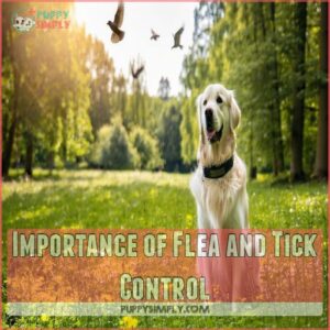 Importance of Flea and Tick Control