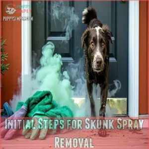 Initial Steps for Skunk Spray Removal