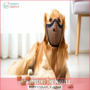 Introducing The Muzzle