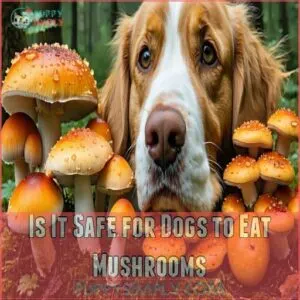 Is It Safe for Dogs to Eat Mushrooms