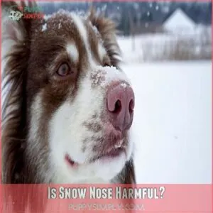 Is Snow Nose Harmful