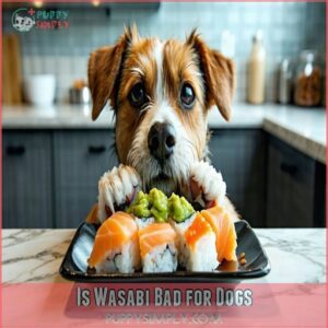 Is Wasabi Bad for Dogs