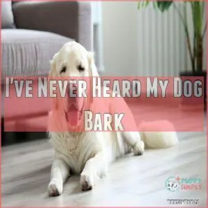 I've Never Heard My Dog Bark