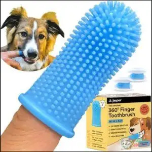 Jasper Dog Toothbrush, 360 Dog