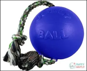 Jolly Pets Romp-n-Roll Rope and