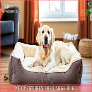 Key Features for Large Dogs