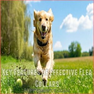 Key Features of Effective Flea Collars